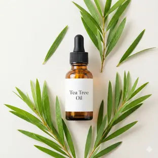 Huile d'Arbre à Thé Microencapsulée
