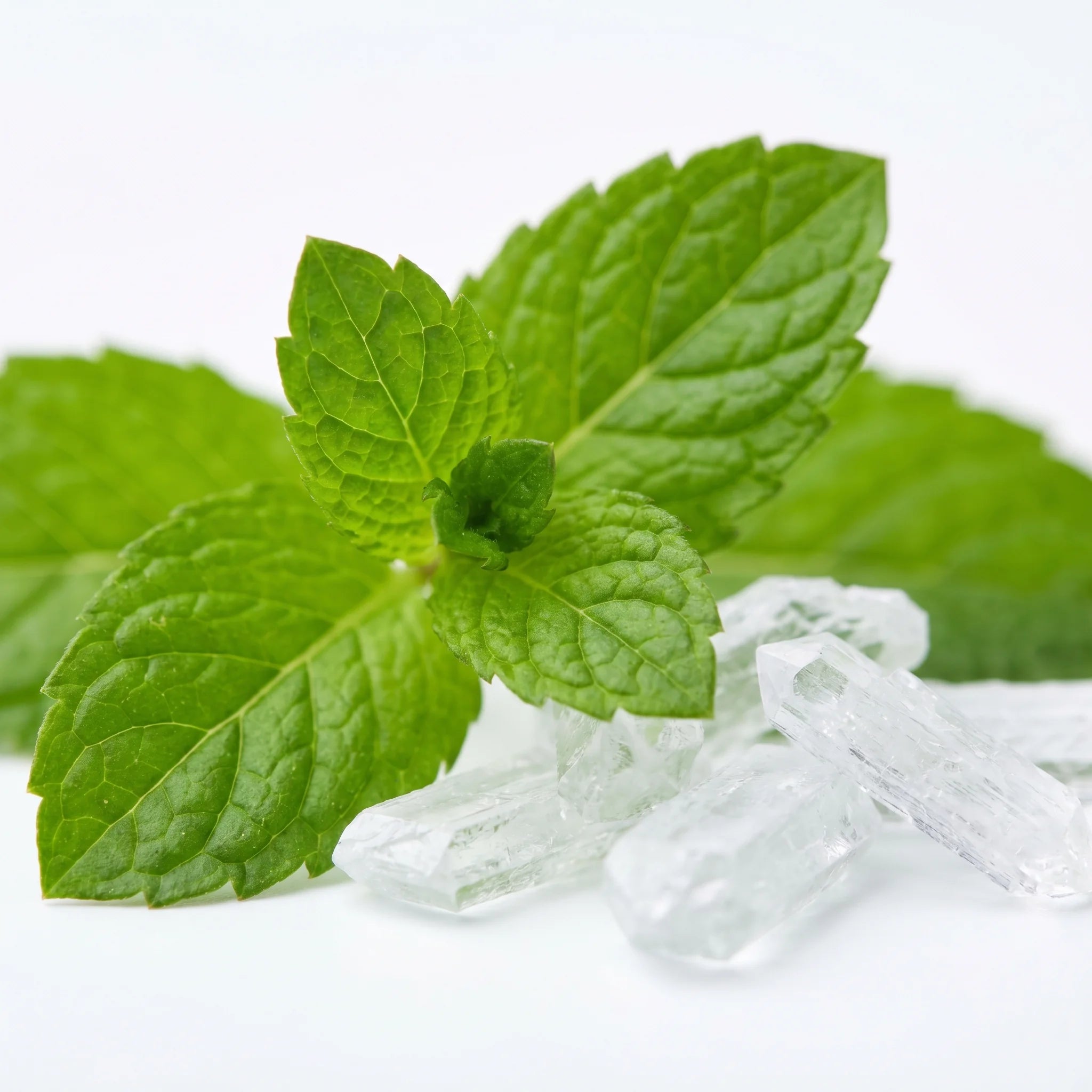 Menthol